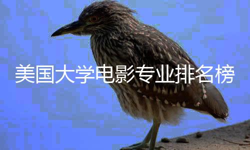 美国大学电影专业排名榜单！