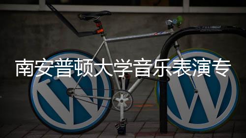 南安普顿大学音乐表演专业怎么样？