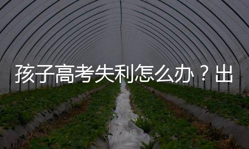 孩子高考失利怎么办？出国留学是出路