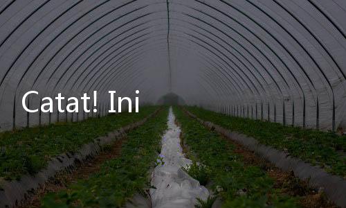 Catat! Ini Alasan Kenapa Semua Pekerja Wajib Ikuti Program Tapera