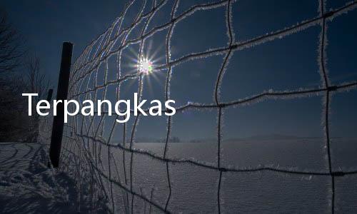 Terpangkas Rp13 Ribu, Harga Emas Antam Jelang Akhir Pekan Ini Dipatok Rp1.910.000 per Gram