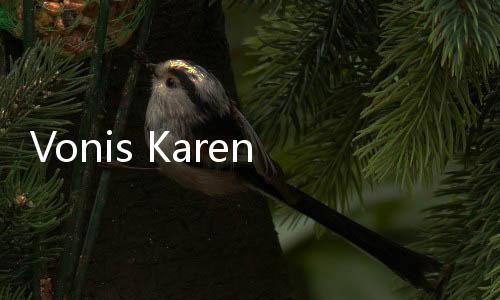 Vonis Karen Lebih Rendah dari Tuntutan Jaksa, Kejagung Pikir